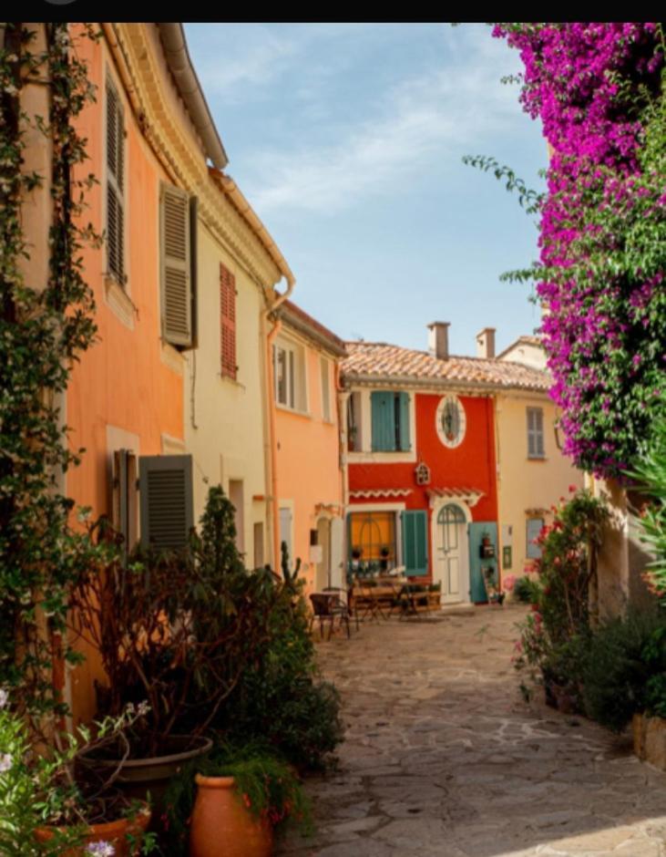 Les Terrasses De Lo Bed & Breakfast Bormes-les-Mimosas Bagian luar foto